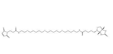 （+）-Biotin-PEG6-NH-Mal