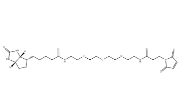 （+）-Biotin-PEG3-NH-Mal