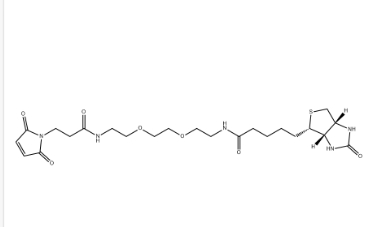 （+）-Biotin-PEG2-NH-Mal