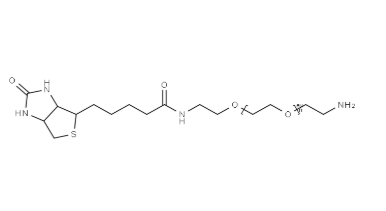 （+）-Biotin-PEG11-CH2CH2NH2