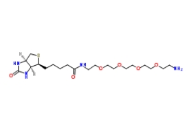 （+）-Biotin-PEG4-CH2CH2NH2