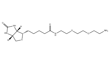 （+）-Biotin-PEG2-CH2CH2NH2