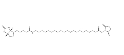 （+）-Biotin-PEG6-NHS Ester