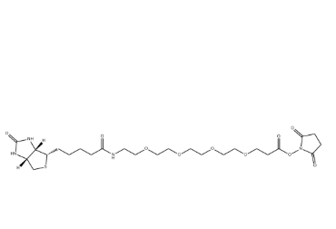 （+）-Biotin-PEG4-NHS Ester