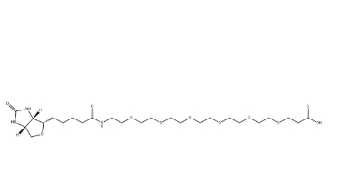 （+）-Biotin-PEG6-CH2CH2COOH