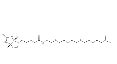 （+）-Biotin-PEG4-CH2CH2COOH