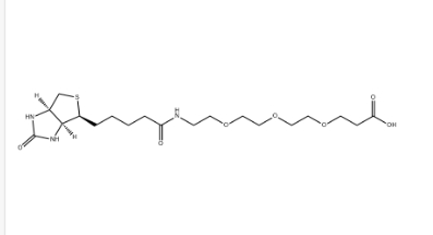 （+）-Biotin-PEG3-CH2CH2COOH