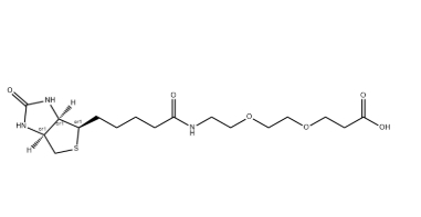 （+）-Biotin-PEG2-CH2CH2COOH