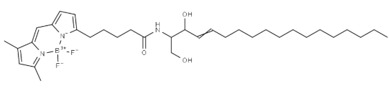 BODIPY FL C5-Ceramide