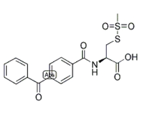 BPCAC-MTS