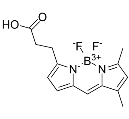 3-Bodipy-propanoic Acid 