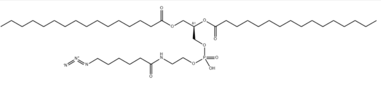 DPPE-Azide 