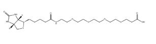 生物素-PEG4-羧酸