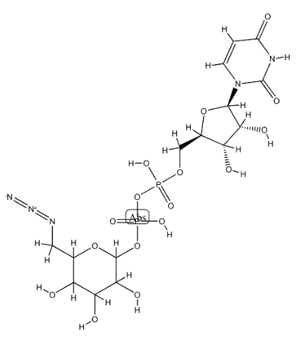 UDP-6-N3-Glucose