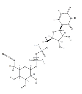 UDP-6-叠氮-6-脱氧-D-葡萄糖二钠盐