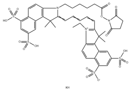 	Cy5.5 N-羟基琥珀酰亚胺酯	 