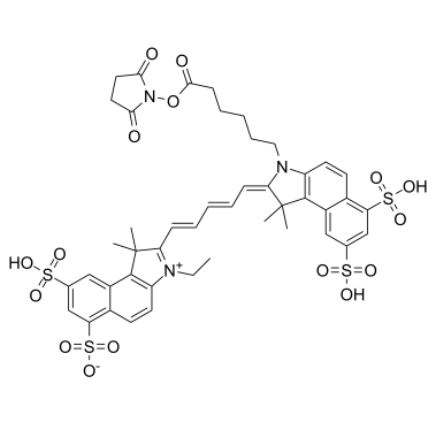 	Cy5.5-N-羟基琥珀酰亚胺酯	 