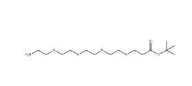 NH2-PEG4-CH2CH2COOtBu