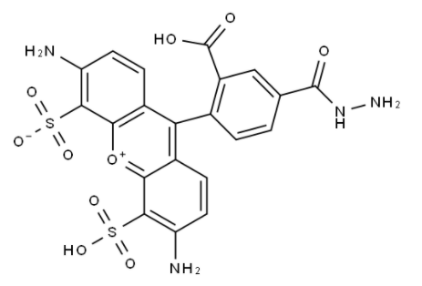 	BP Fluor 488 Hydrazide 
