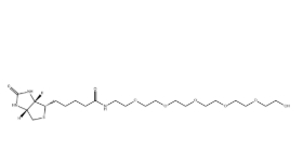 （+）-Biotin-PEG6-OH