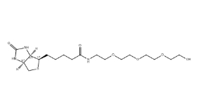 （+）-Biotin-PEG4-OH