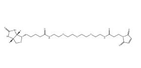（+）-Biotin-PEG3-NH-Mal