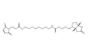 （+）-Biotin-PEG2-NH-Mal