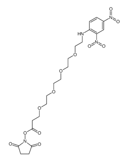 	DNP-PEG4-NHS ester  