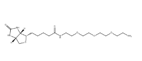(+)-Biotin-PEG3-CH2CH2NH2 (+)-Biotin-PEG3-CH2CH2NH2