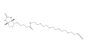 （+）-Biotin-PEG4-CH2CH2N3