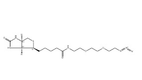 （+）-Biotin-PEG3-CH2CH2N3