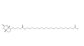 （+）-Biotin-PEG6-CH2CH2COOH