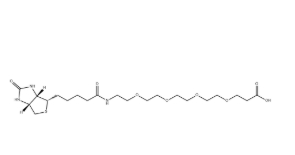 （+）-Biotin-PEG4-CH2CH2COOH