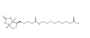 （+）-Biotin-PEG2-CH2CH2COOH