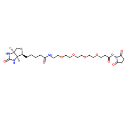 	Biotin-PEG4-NHS ester 