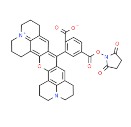 6-CARBOXY-X-RHODAMINE SUCCINIMIDYL ESTE 