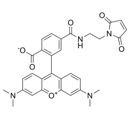 6-TAMRA maleimide 