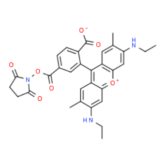 6-CARBOXYRHODAMINE 6G, SUCCINIMIDYL ESTER  