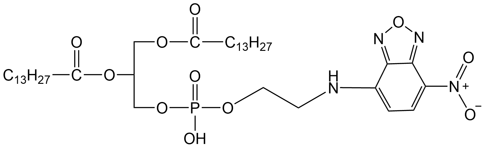 DMPE-NBD，NBD标记二月酰磷脂酰乙醇胺
