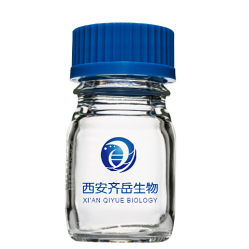 脂质体包裹介孔硅纳米粒（Liposome@mSiO₂）