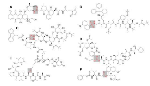 有机药物小分子与肽结合的定制技术 有机药物小分子与肽结合的定制技术
