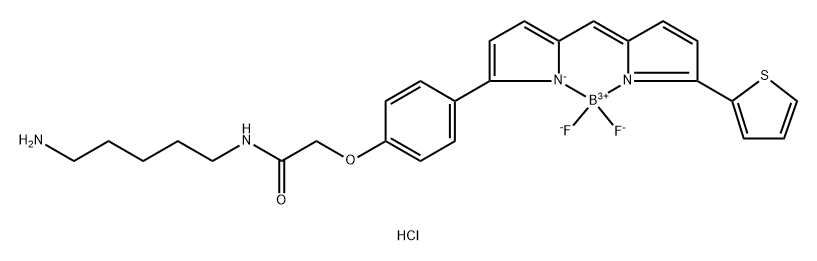氟化硼二吡咯 TR CADAVERINE