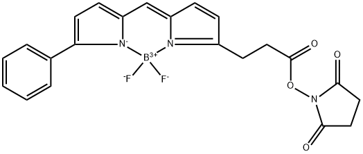 BODIPY-R6G-NHS Ester
