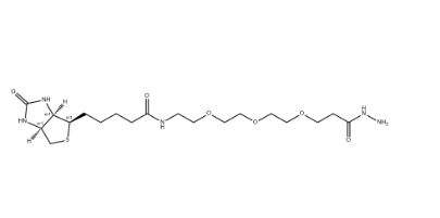 （+）-Biotin-PEG3-Hydrazide
