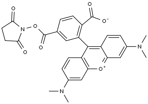 6-TAMRA-NHS ester