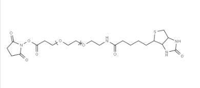 （+）-Biotin-PEG12-NHS Ester