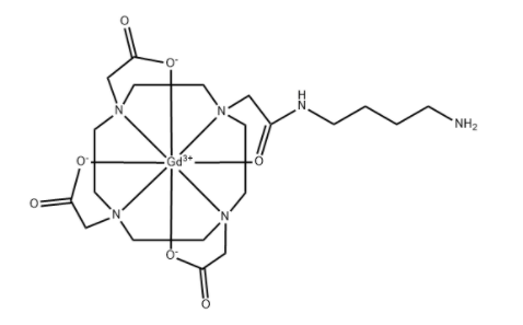 	Gd-DO3A-Butylamine 