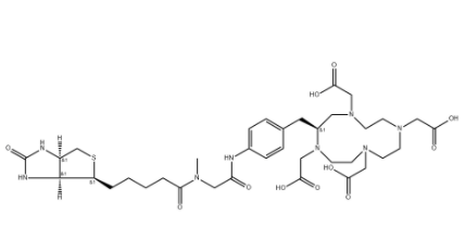 	DOTA-生物素-肌氨酸	 