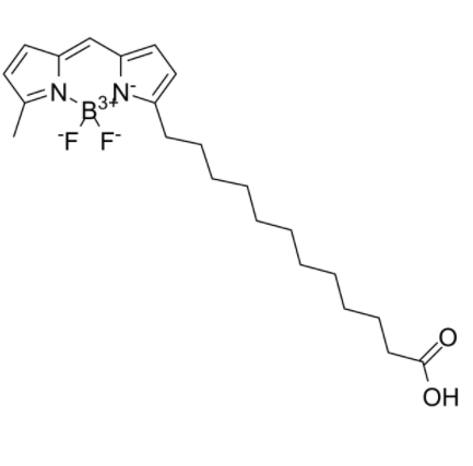 BODIPY 500/510 C1, C12 