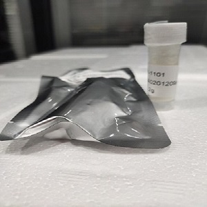 Cy3-labeled siPORT